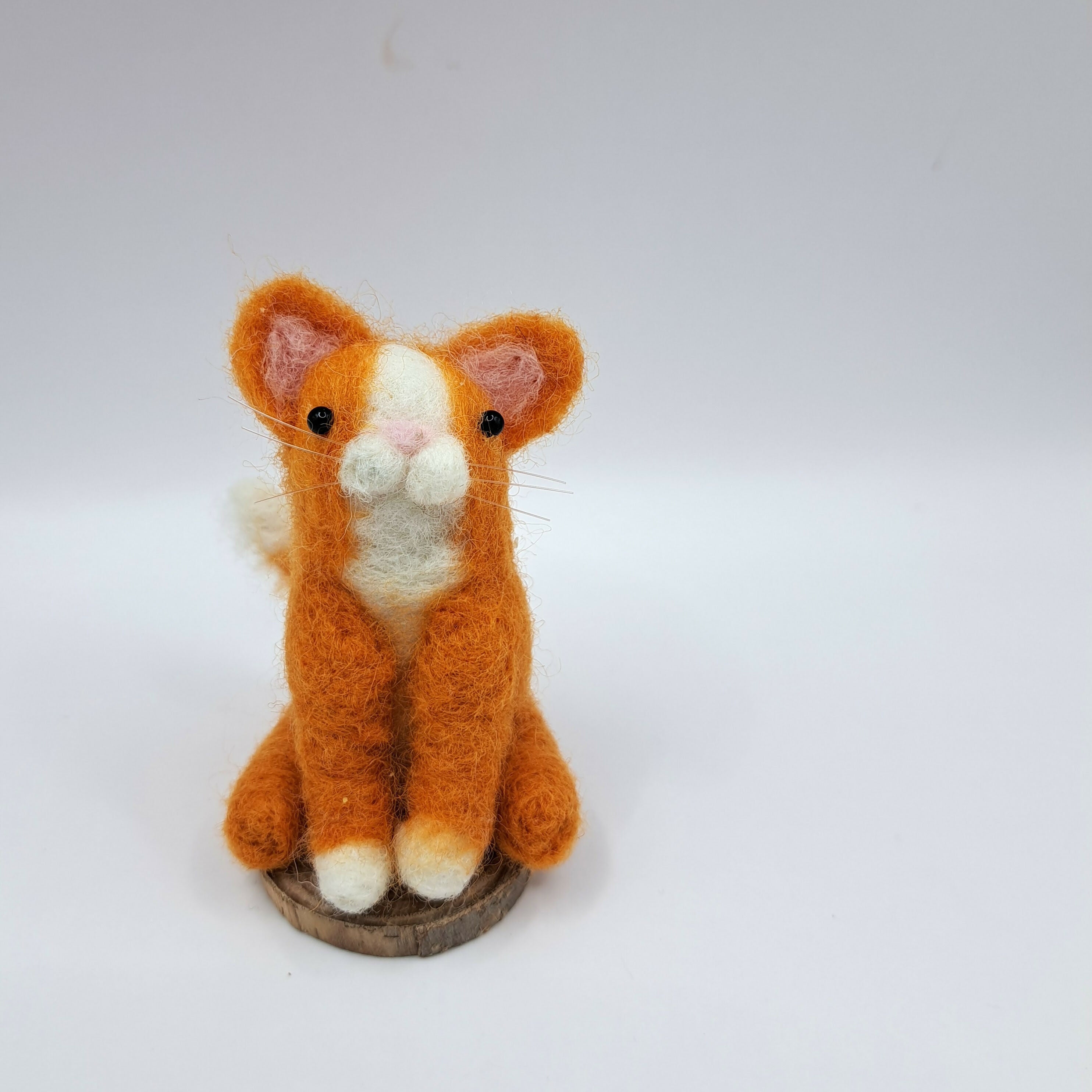 Dinky Cat Ginger