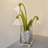 Snowdrop Vase