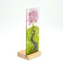 Cherry Blossom on Hill Med Plinth
