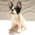 Ceramic White and Black French Bulldog Sculpture