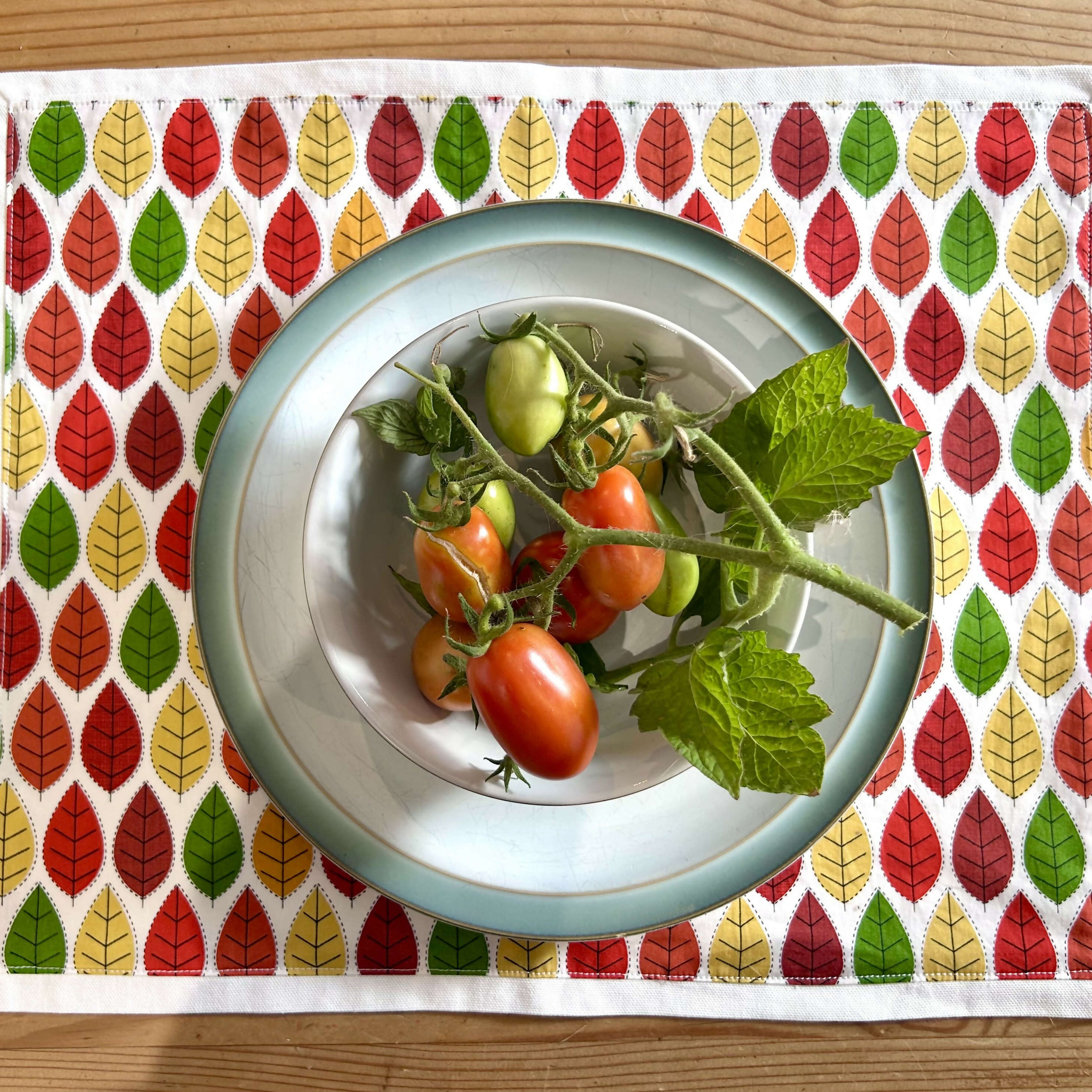 Autumn Table Linen and Placemats Set