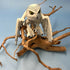 3D Printed LARGE: Articulated Sensory Fidget Animal Friend Snow Owl 22cm