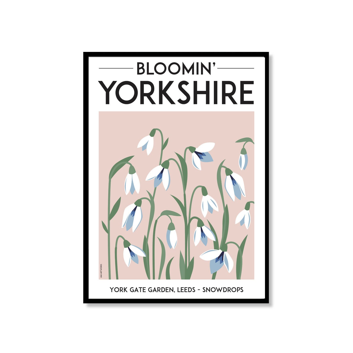 Blooming Yorkshire, York Gate Gardens Snowdrops - A2 Framed Print