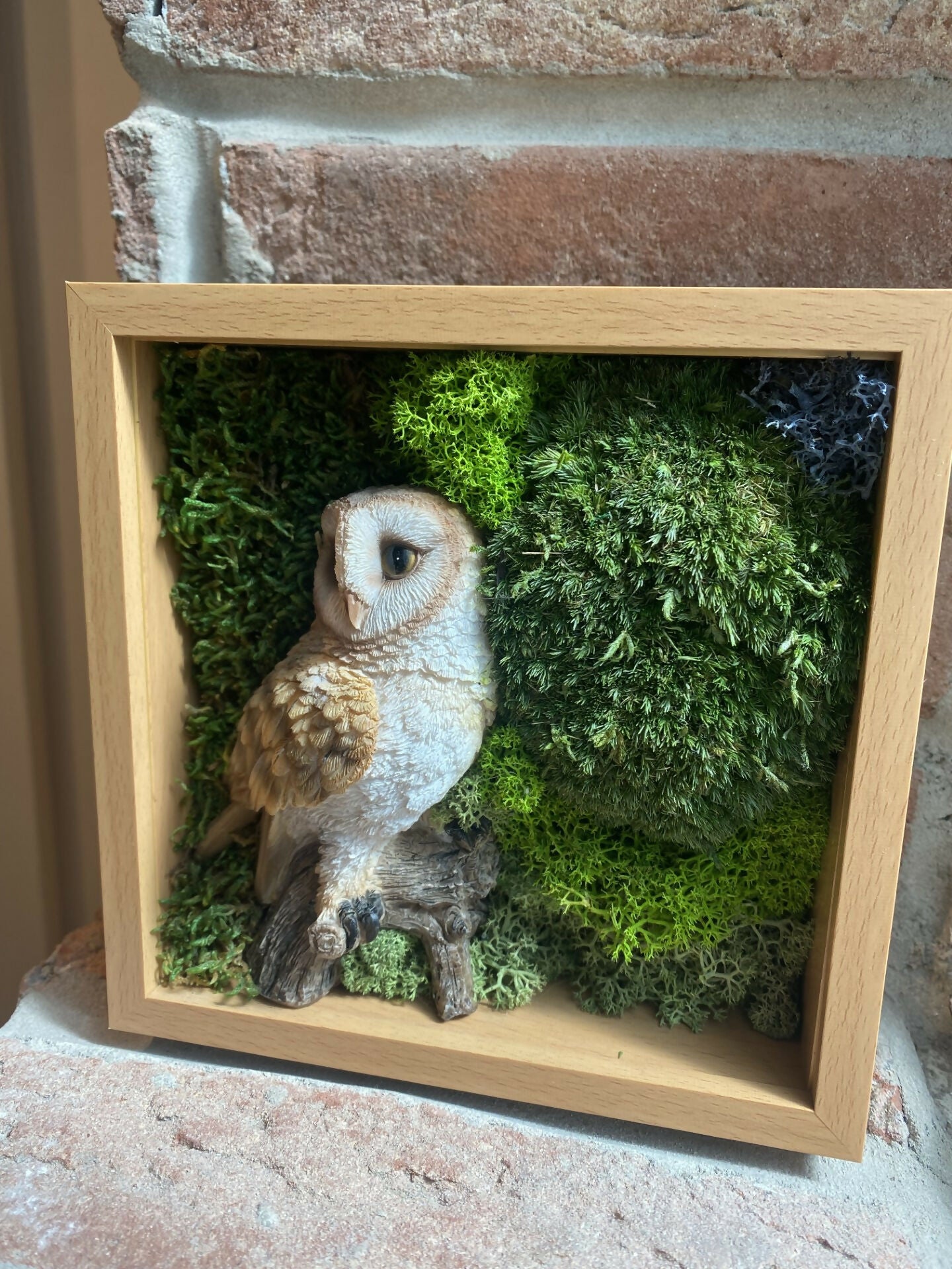 British Barn Owl