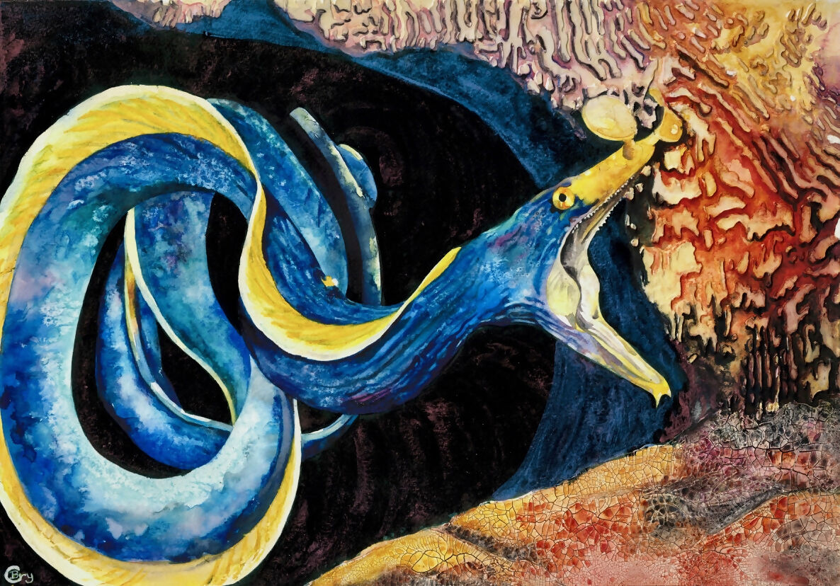 Ribbon Eel - Original Painting