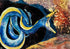 Ribbon Eel - Original Painting