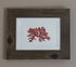 Real Pressed Seaweed Framed Art