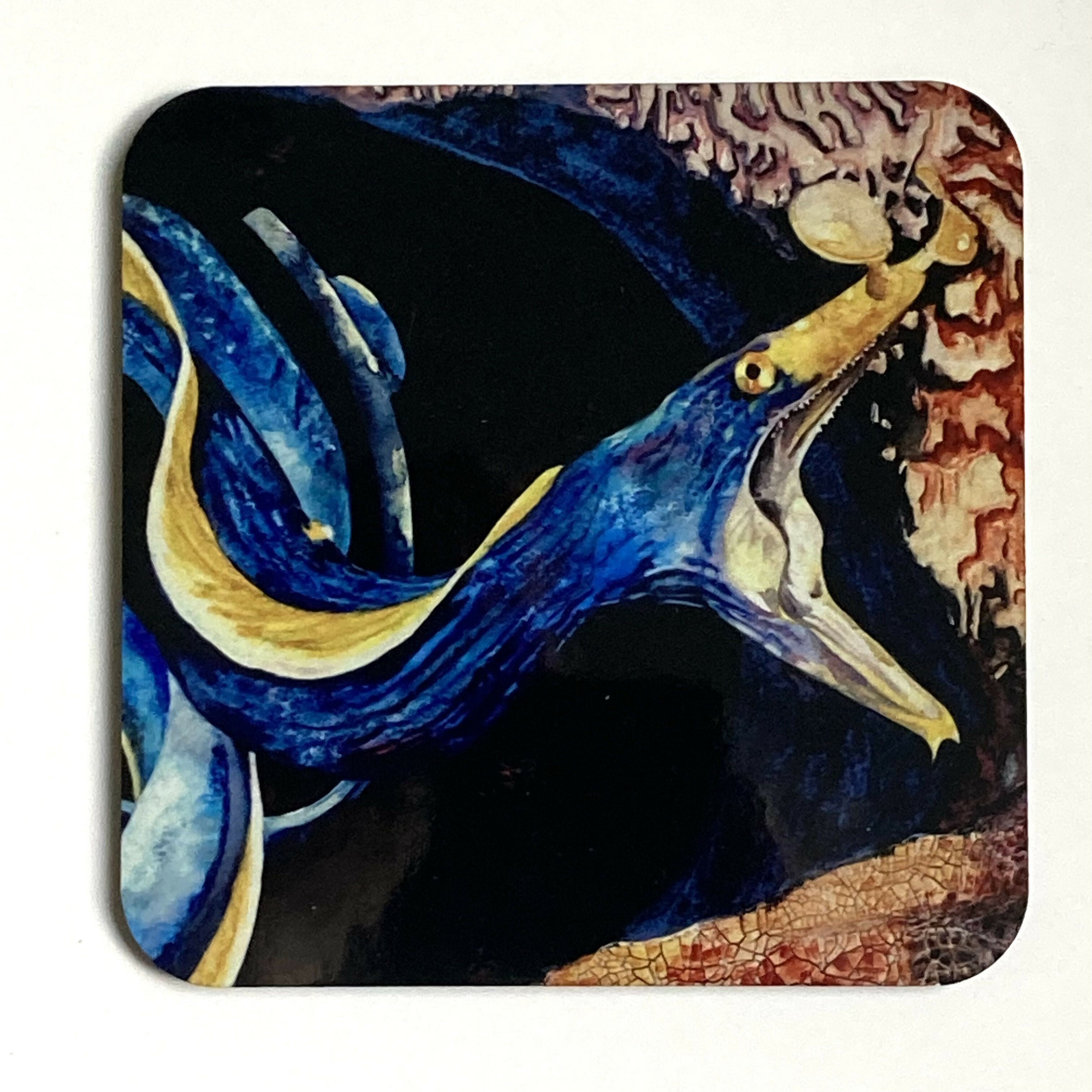 Ribbon eel - Coaster
