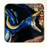 Ribbon eel - Coaster