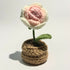 Crochet Mini Pot