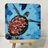Turtle Under the Sea - Coaster