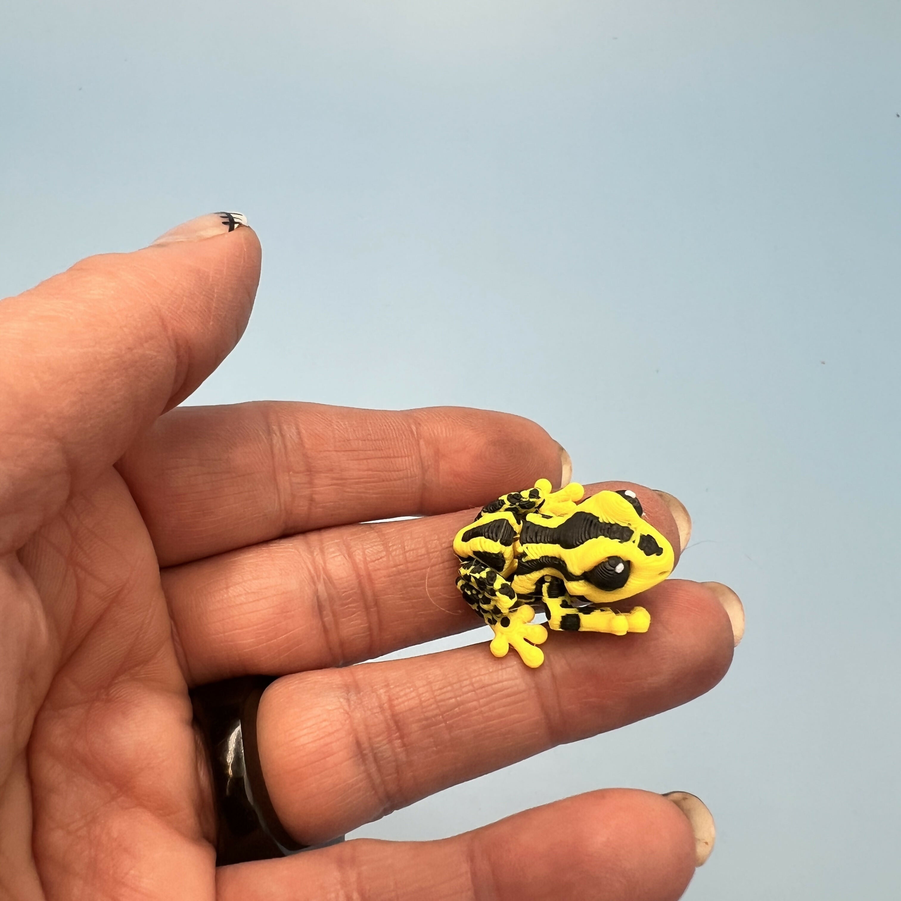 3D Printed Micro Miniatures: Articulated Sensory Fidget Animals friends Tree Frogs & dart frogs 3-4cm