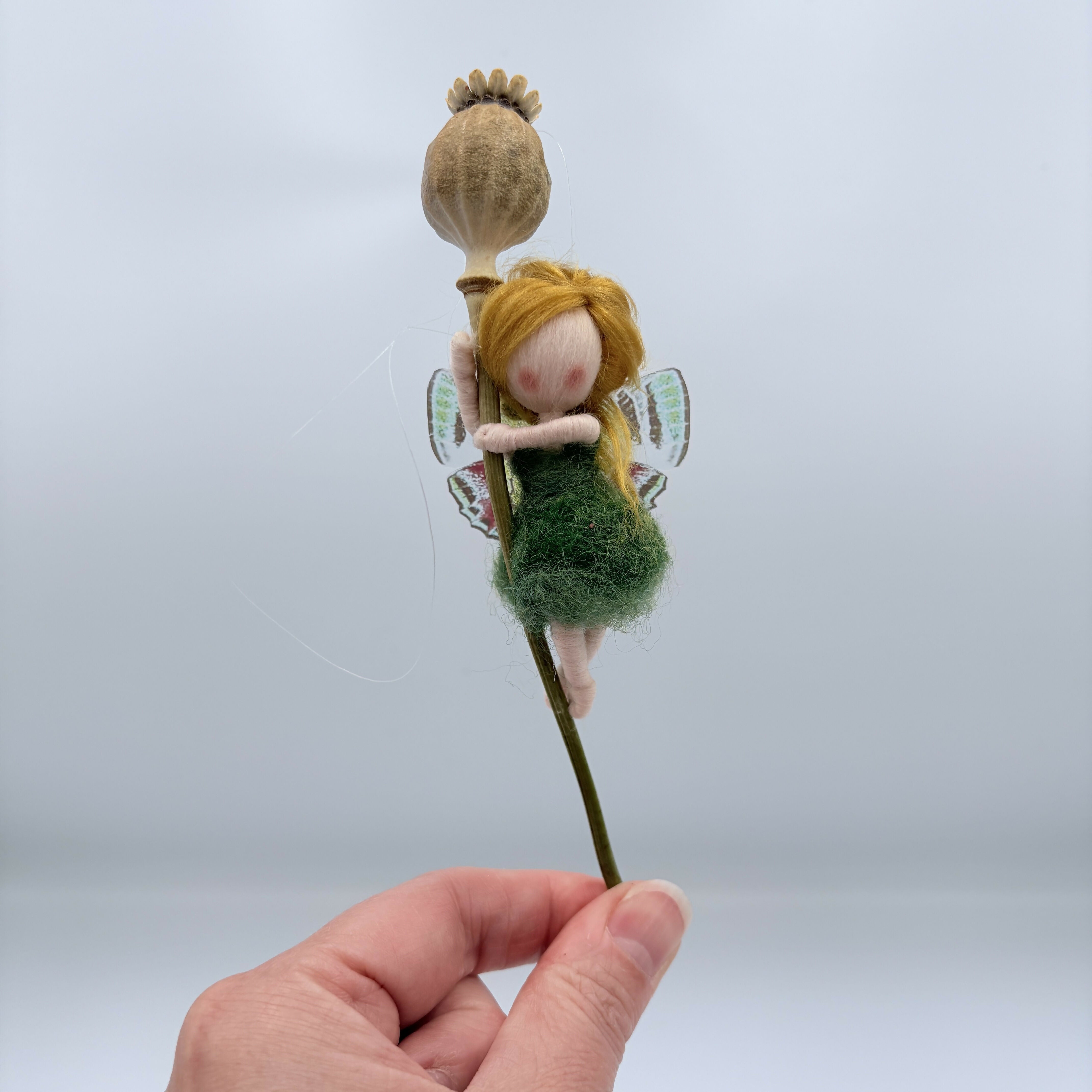 Poppy Head Fairies