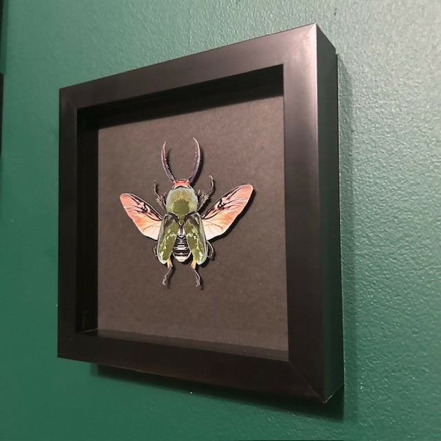 Stunning Faux Paper Jewel Stag Beetle Mounted In A Black Frame