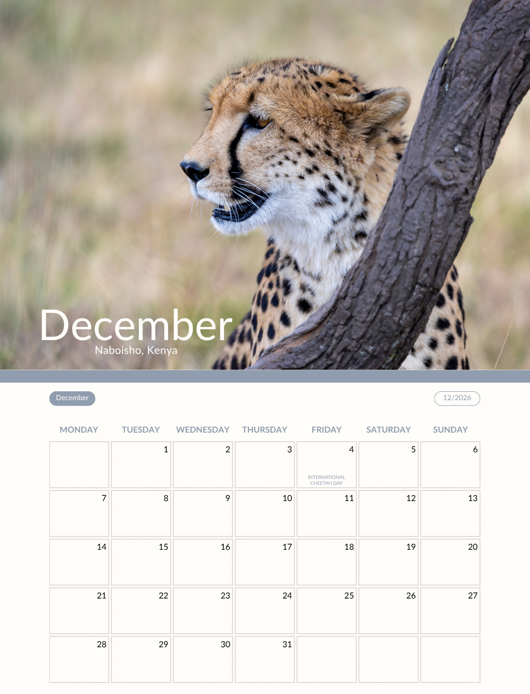 2026 Safari Calendar
