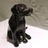 Ceramic Black Labrador dog sculpture