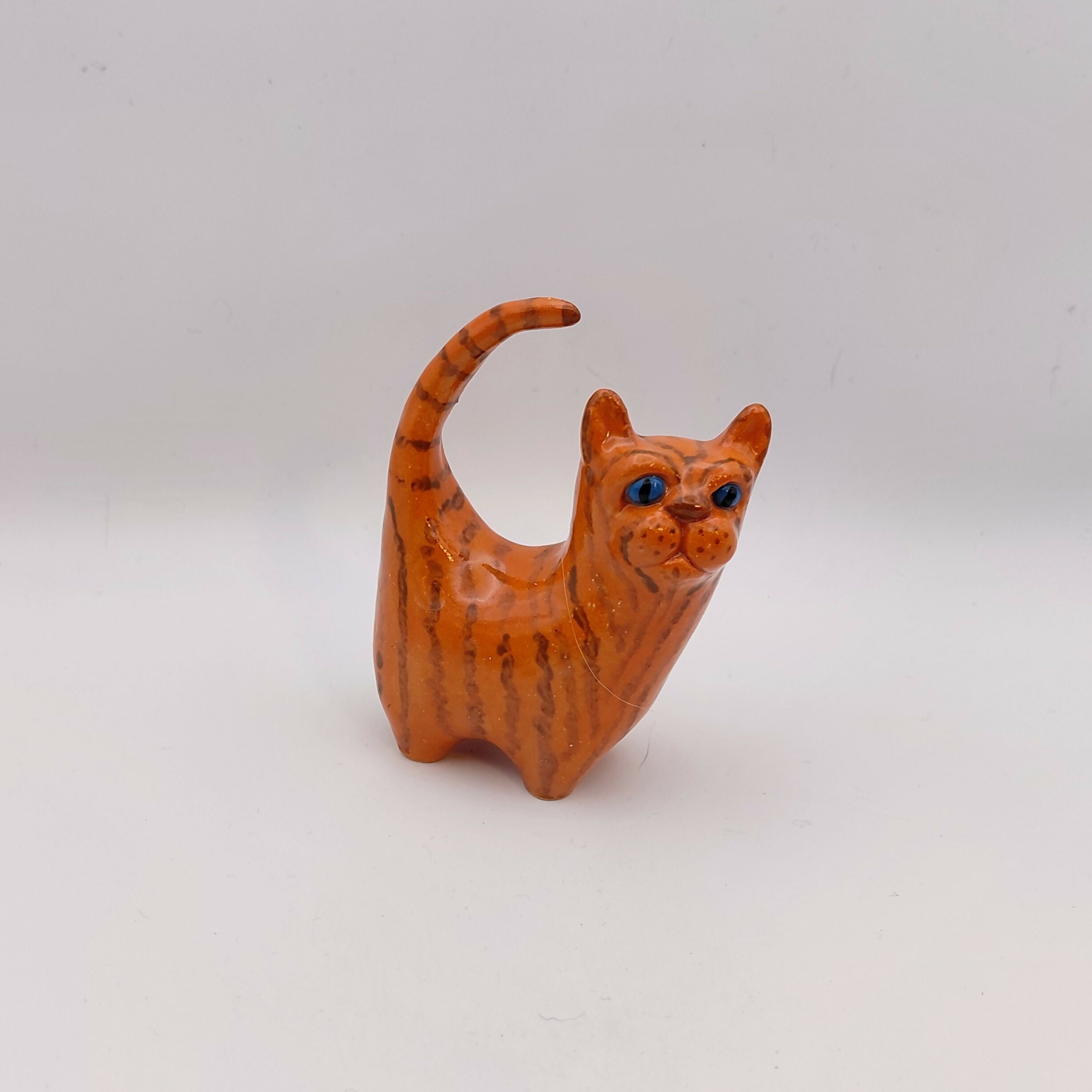 Sunstripe Cat