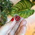 Mini Ladybird Wooden Pin
