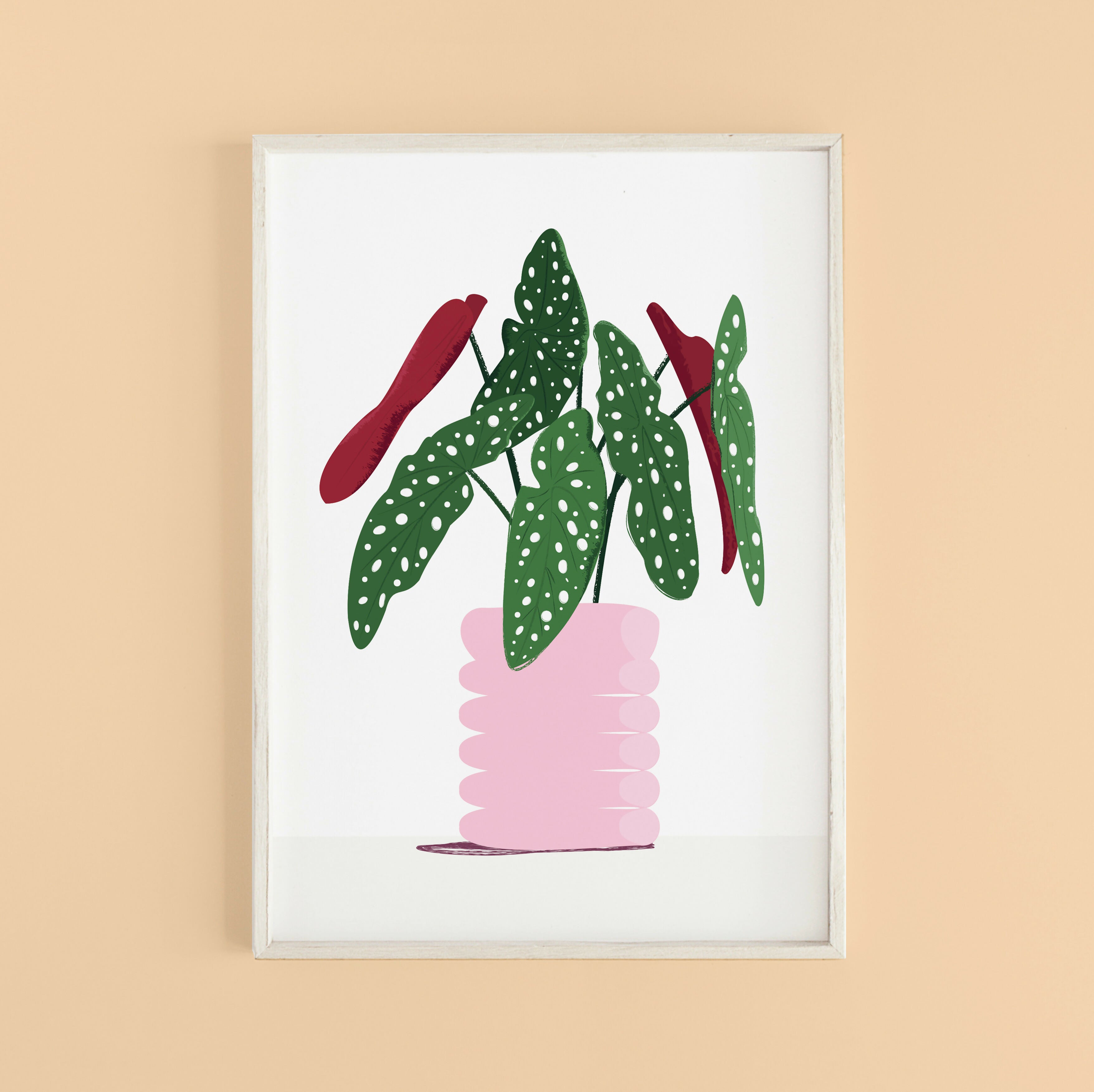 A4-begonia-plant