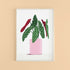 A4-begonia-plant