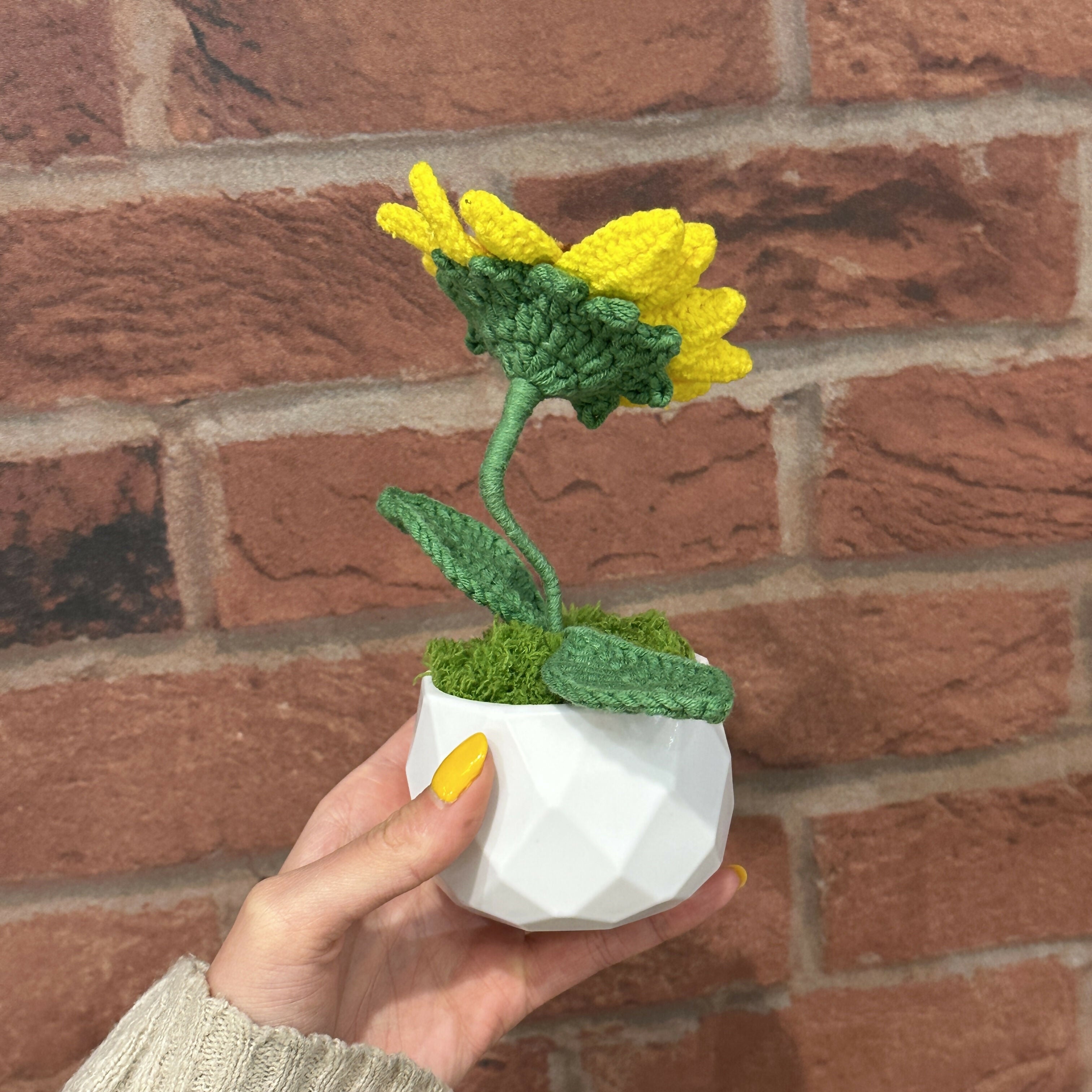 Speckled Crochet Sunflower in White Pot