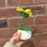 Speckled Crochet Sunflower in White Pot