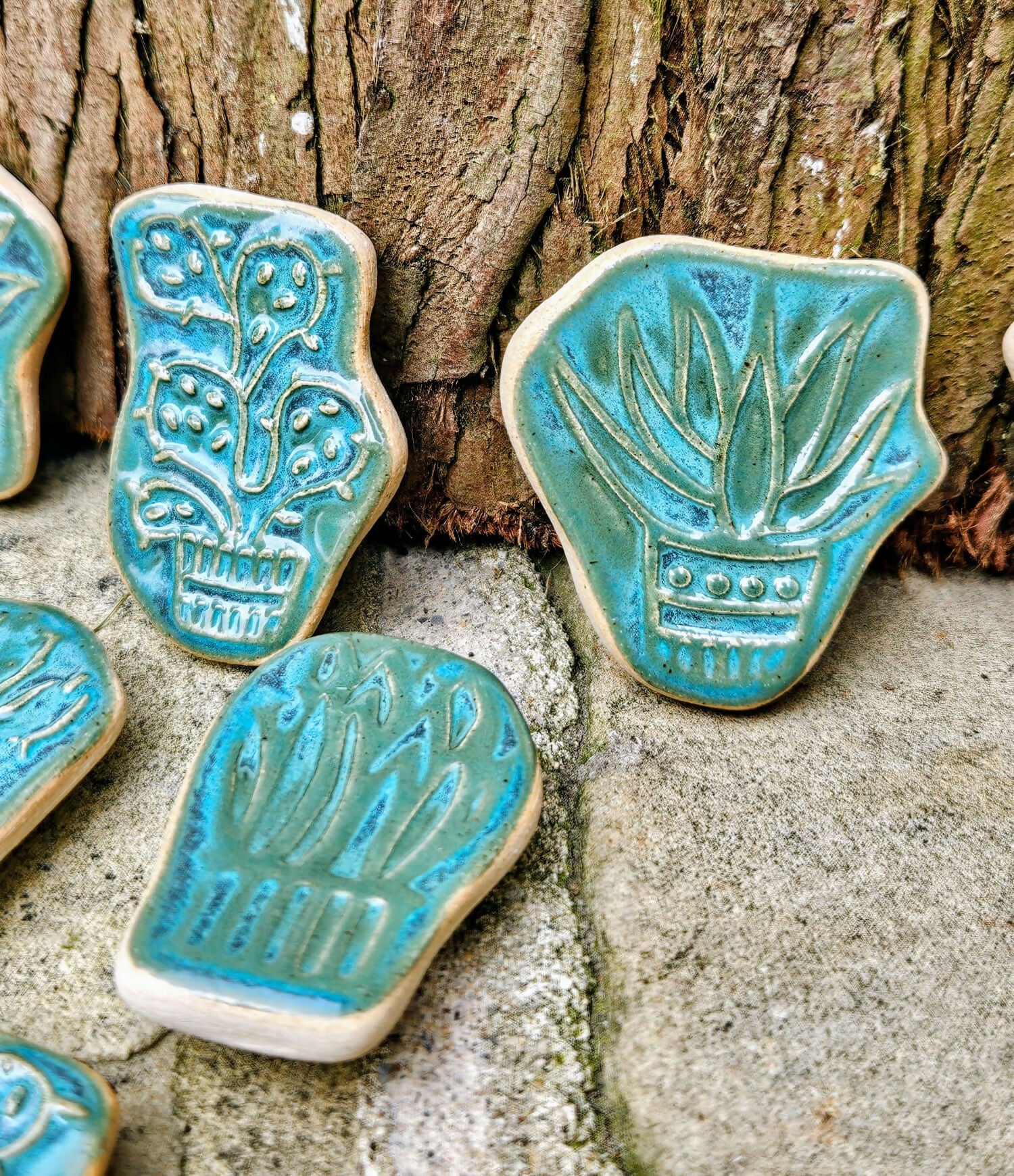 cactus magnet 2