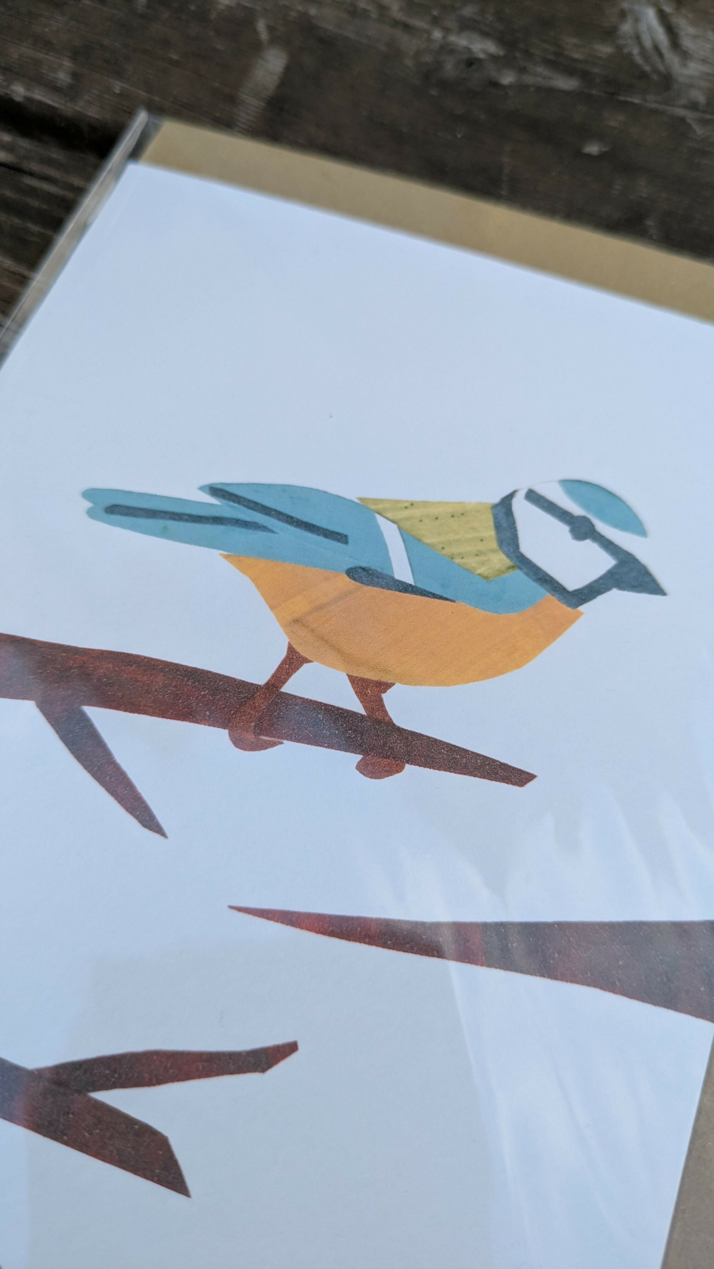 Blue Tit Greetings Card
