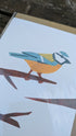 Blue Tit Greetings Card