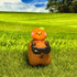 Cool Capybara & Orange Figure