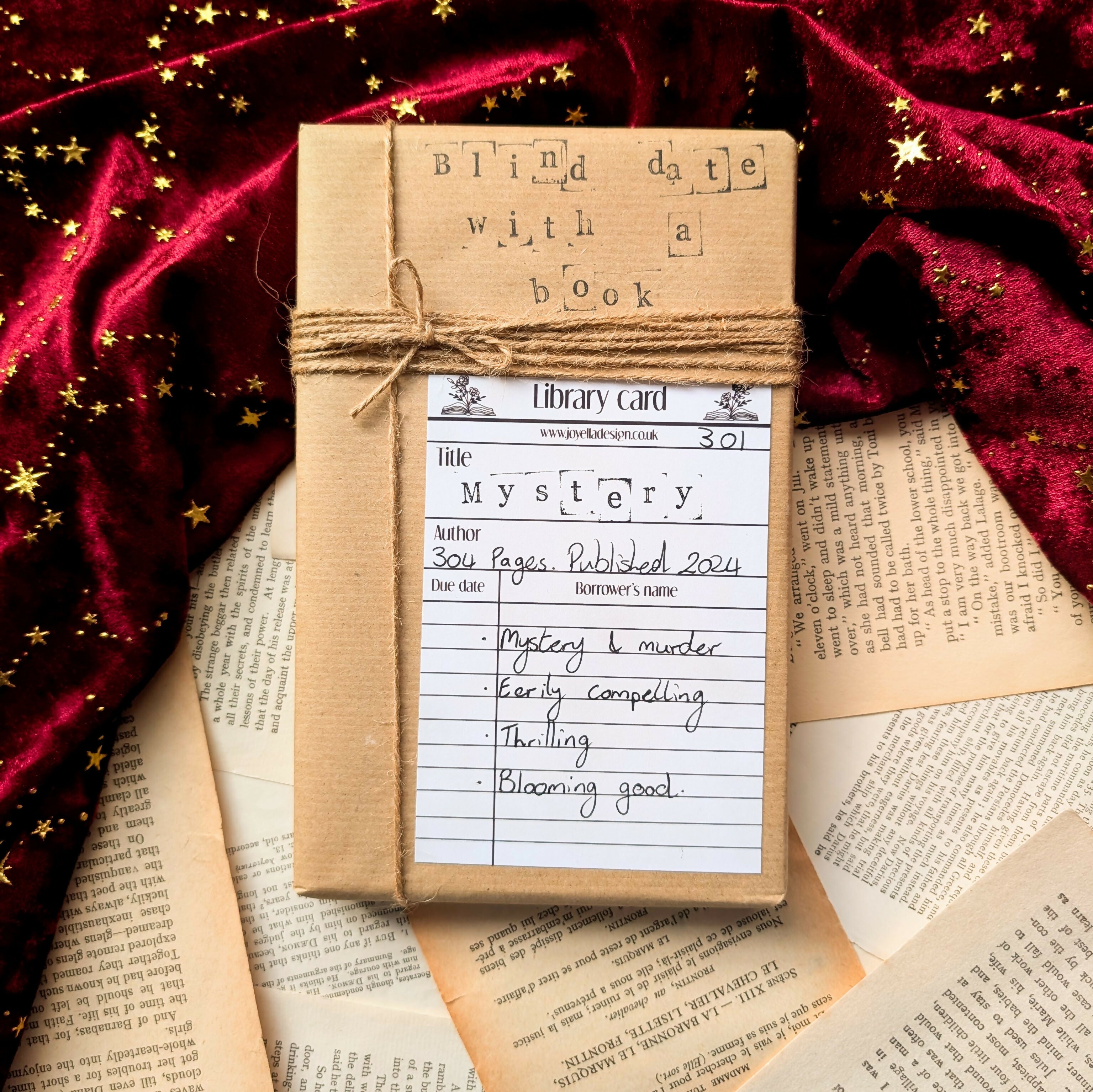 Blind Date with a Book Mystery 301