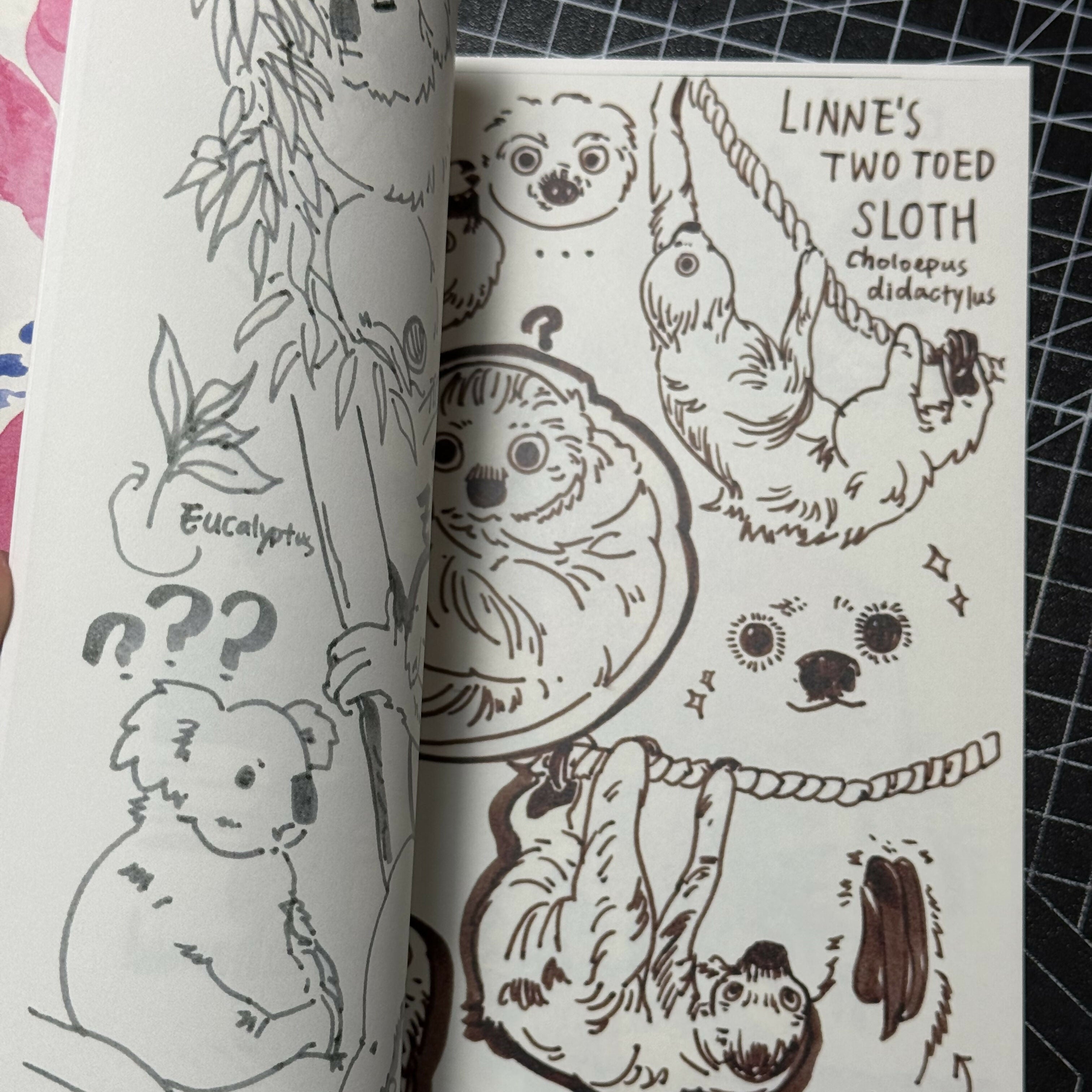 Zoo Sketchbook