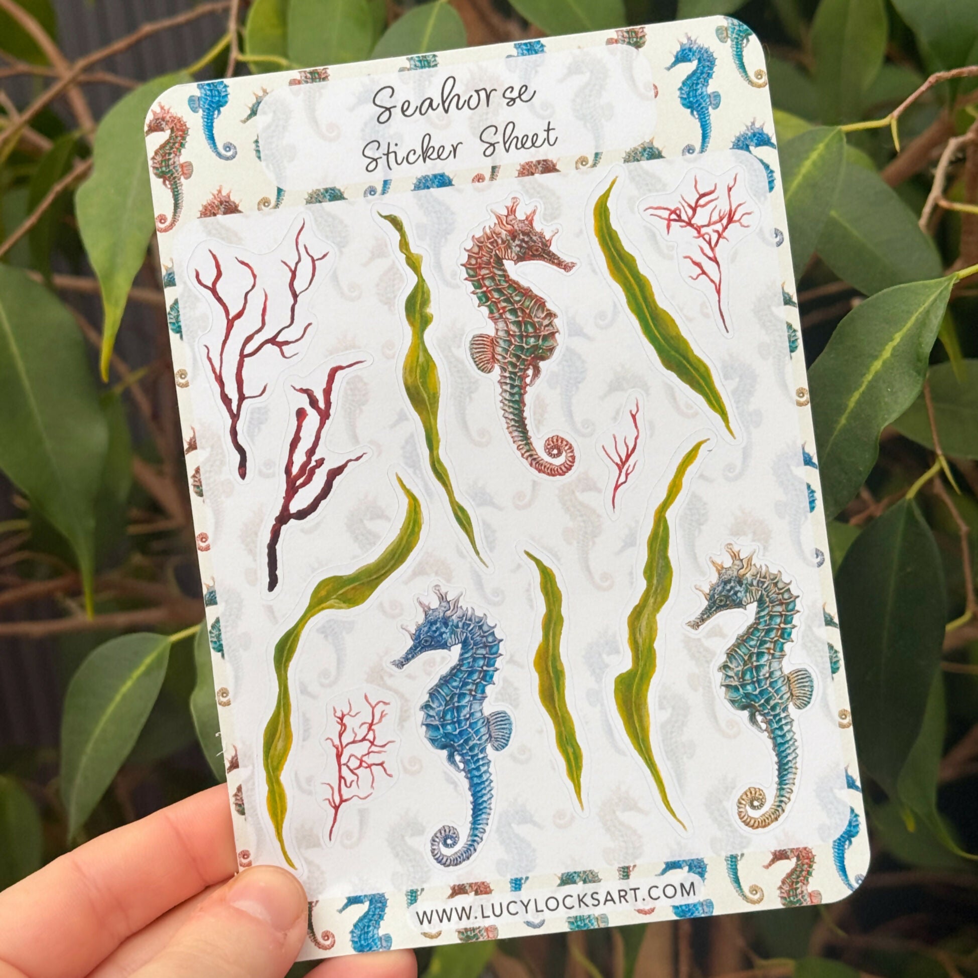 Seahorse - Matt Sticker Sheet