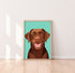 Labrador Brown Art Print