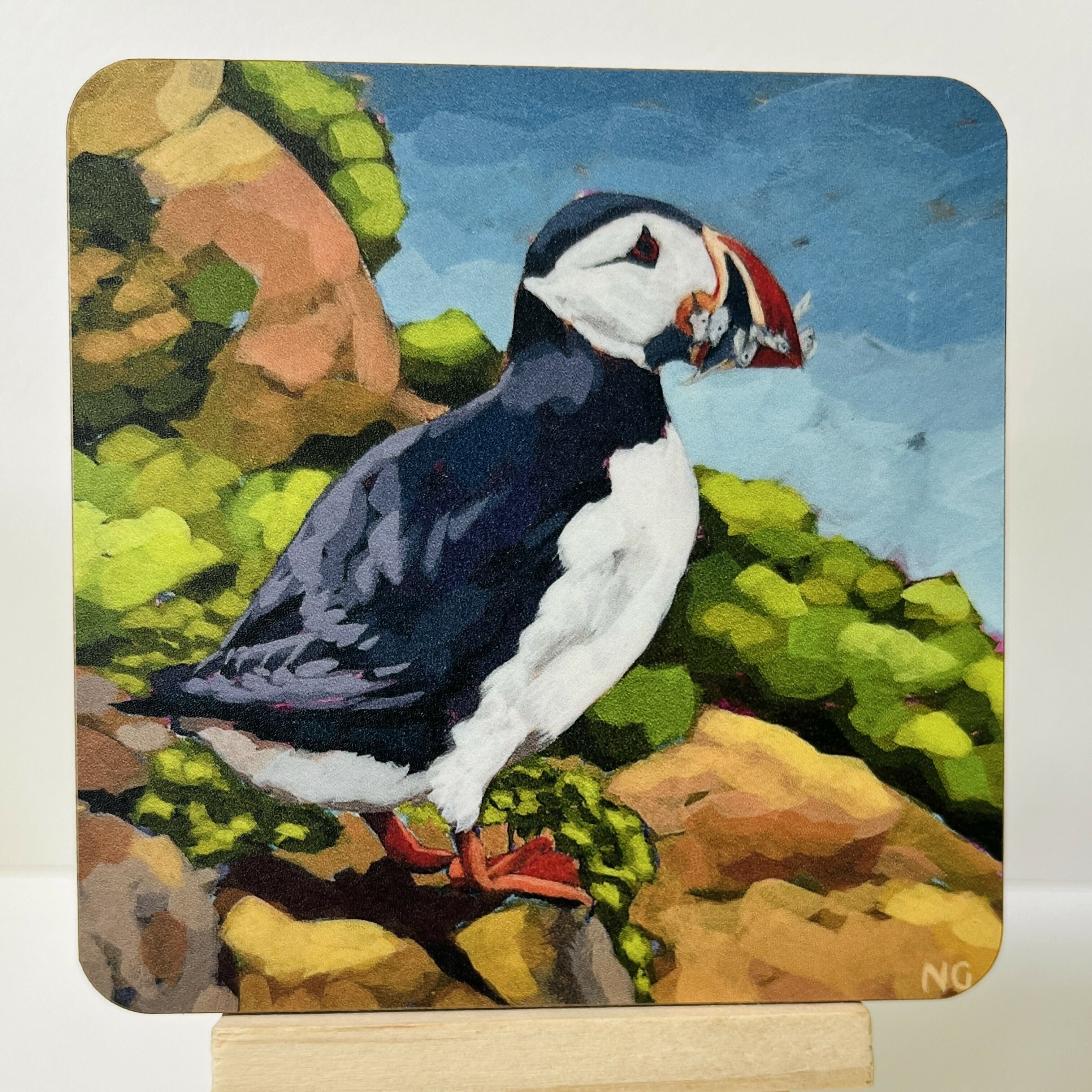 Puffin Catch of the Day - Coaster