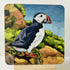 Puffin Catch of the Day - Coaster