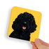 Cockapoo Black Dog Coaster