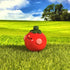 Tomato Friend Figure