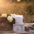 Wild Mint & Rose | Scented Candle