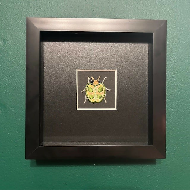 Lovely Embroidered Beetle In A Black Box Frame