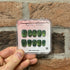 Basil Cateye - Handmade Press On Nails