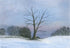 A6 GREETING CARDS