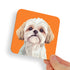 Shih Tzu White Blonde Dog Coaster