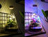 500ml Light Up Conical Flask Terrarium