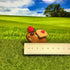 Capybara Lover Figure
