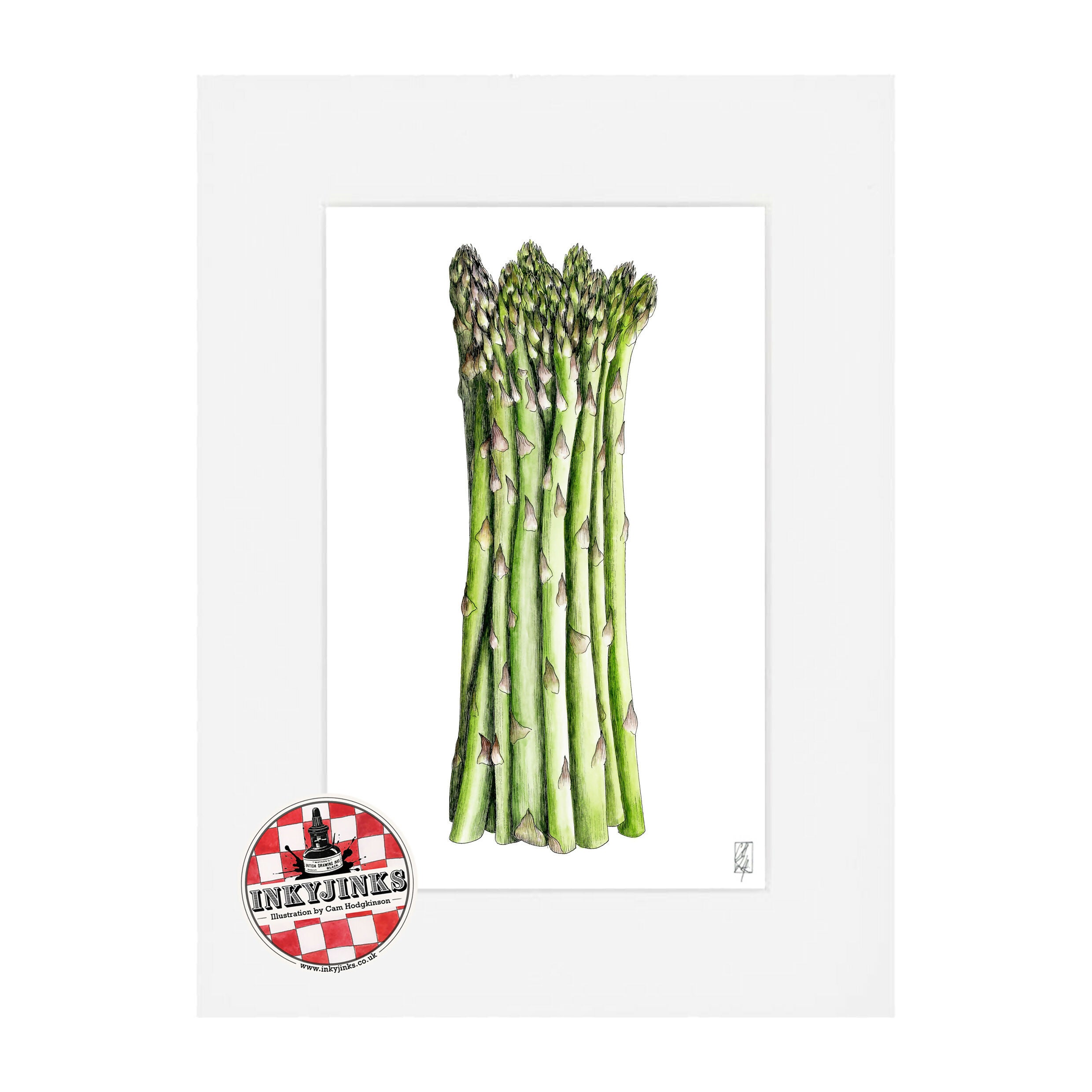 10”x 8” Mounted and Backed Giclée Print of Asparagus
