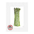10”x 8” Mounted and Backed Giclée Print of Asparagus
