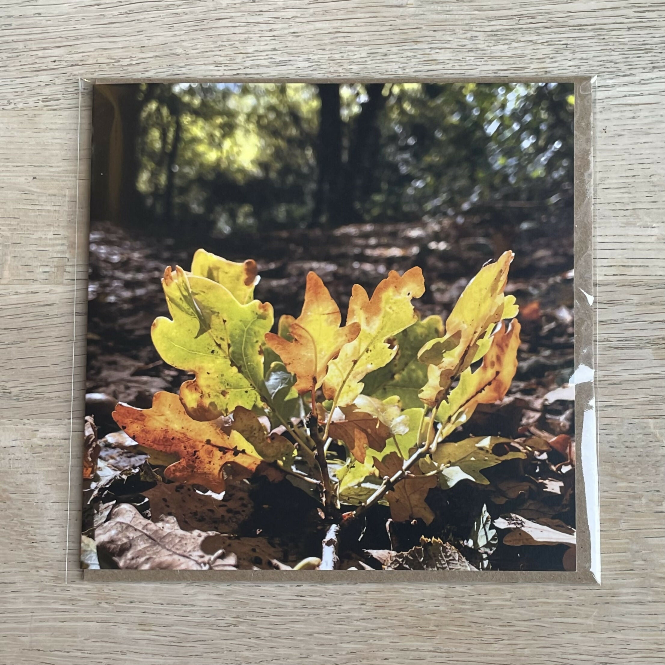 Autumn Leaves – Square Greetings Card