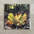 Autumn Leaves – Square Greetings Card