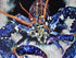 Blue Lobster Print